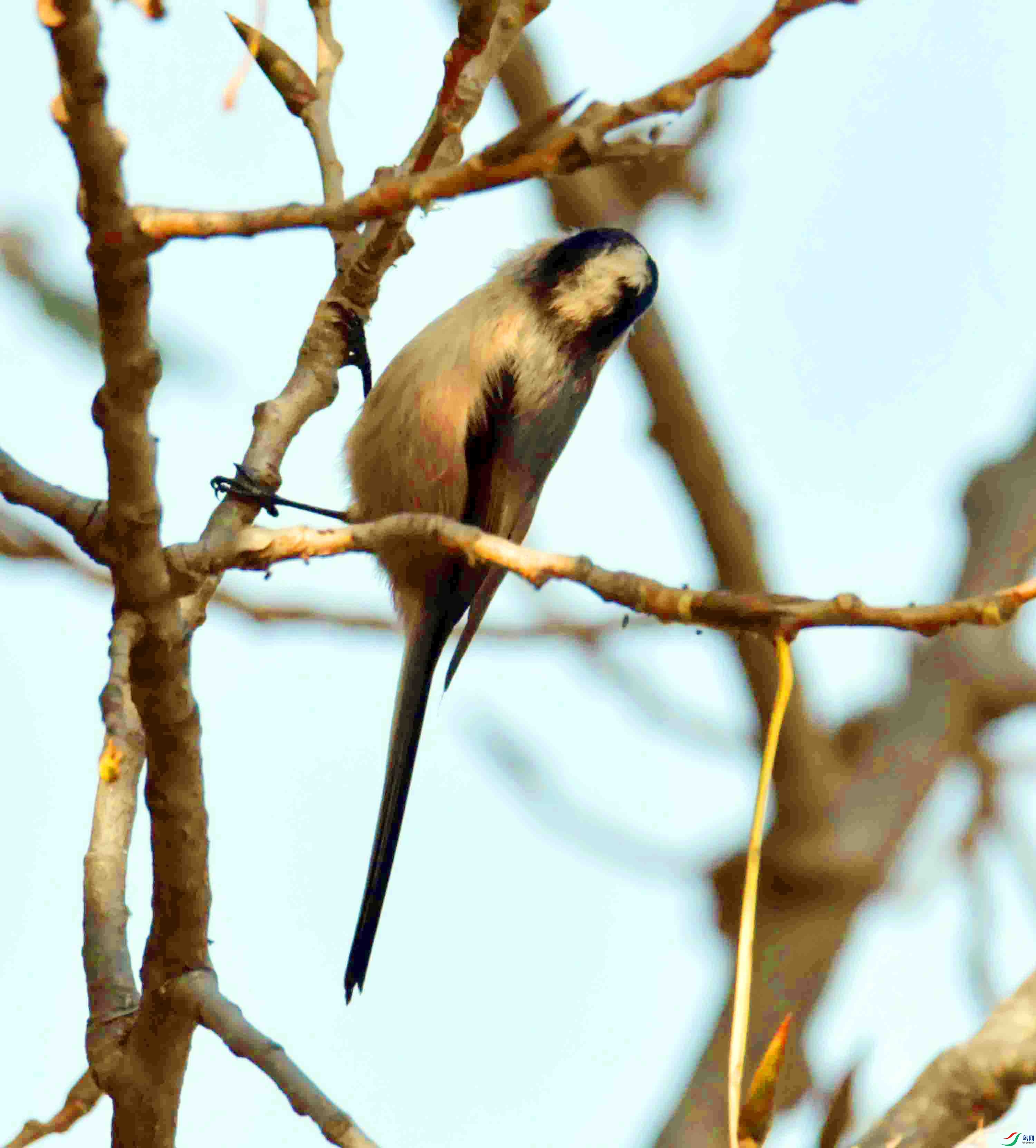 DSC_3009.JPG