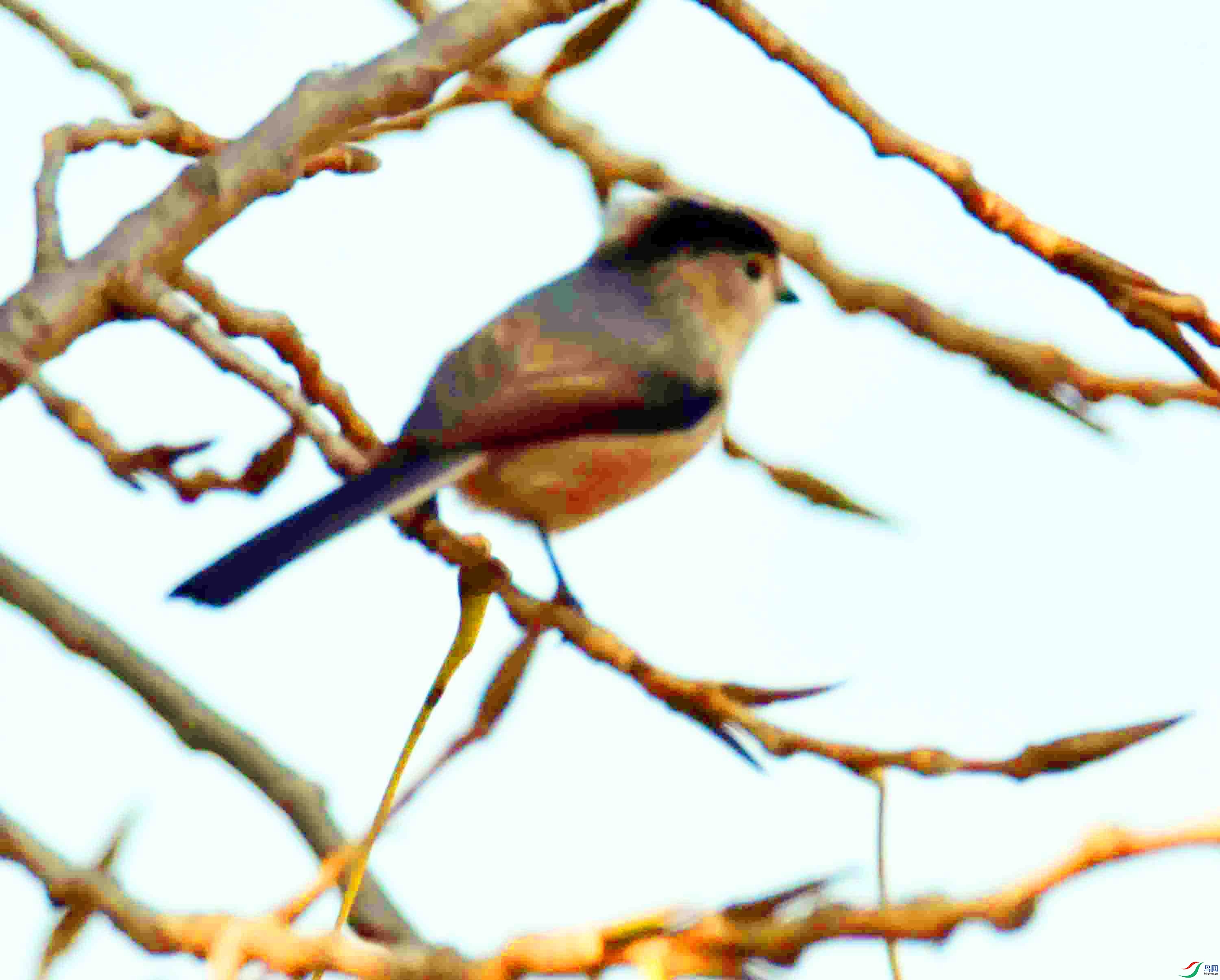 DSC_3022.JPG