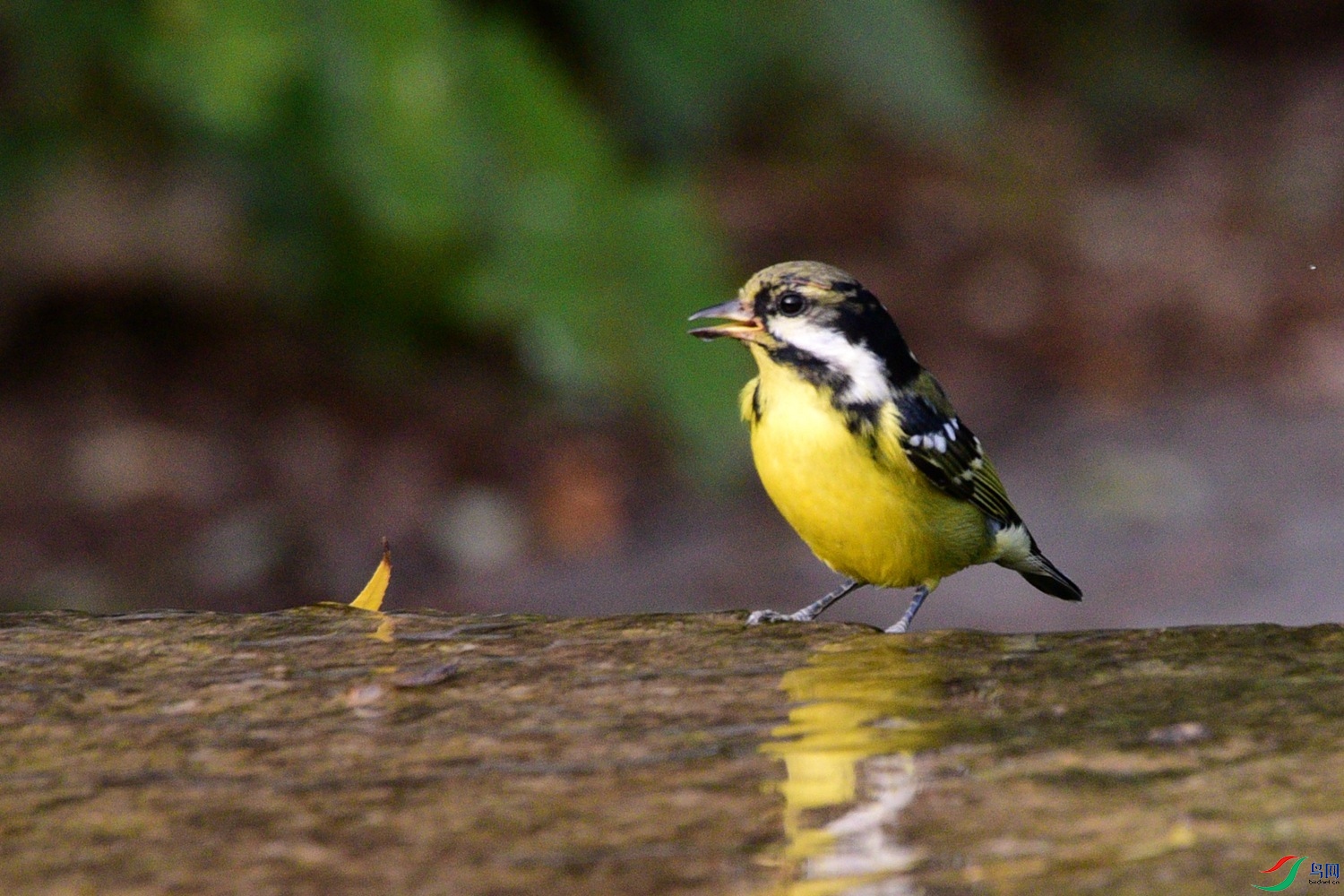 DSC_6664.JPG