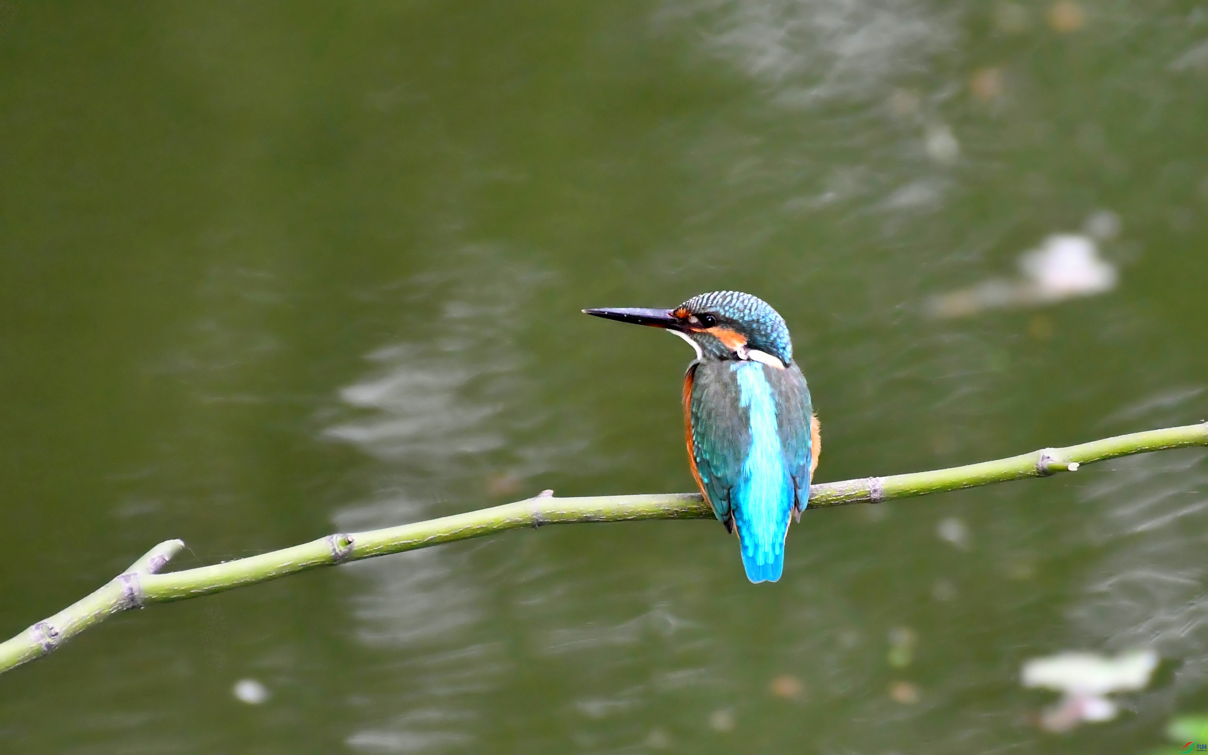 DSC_3757.JPG