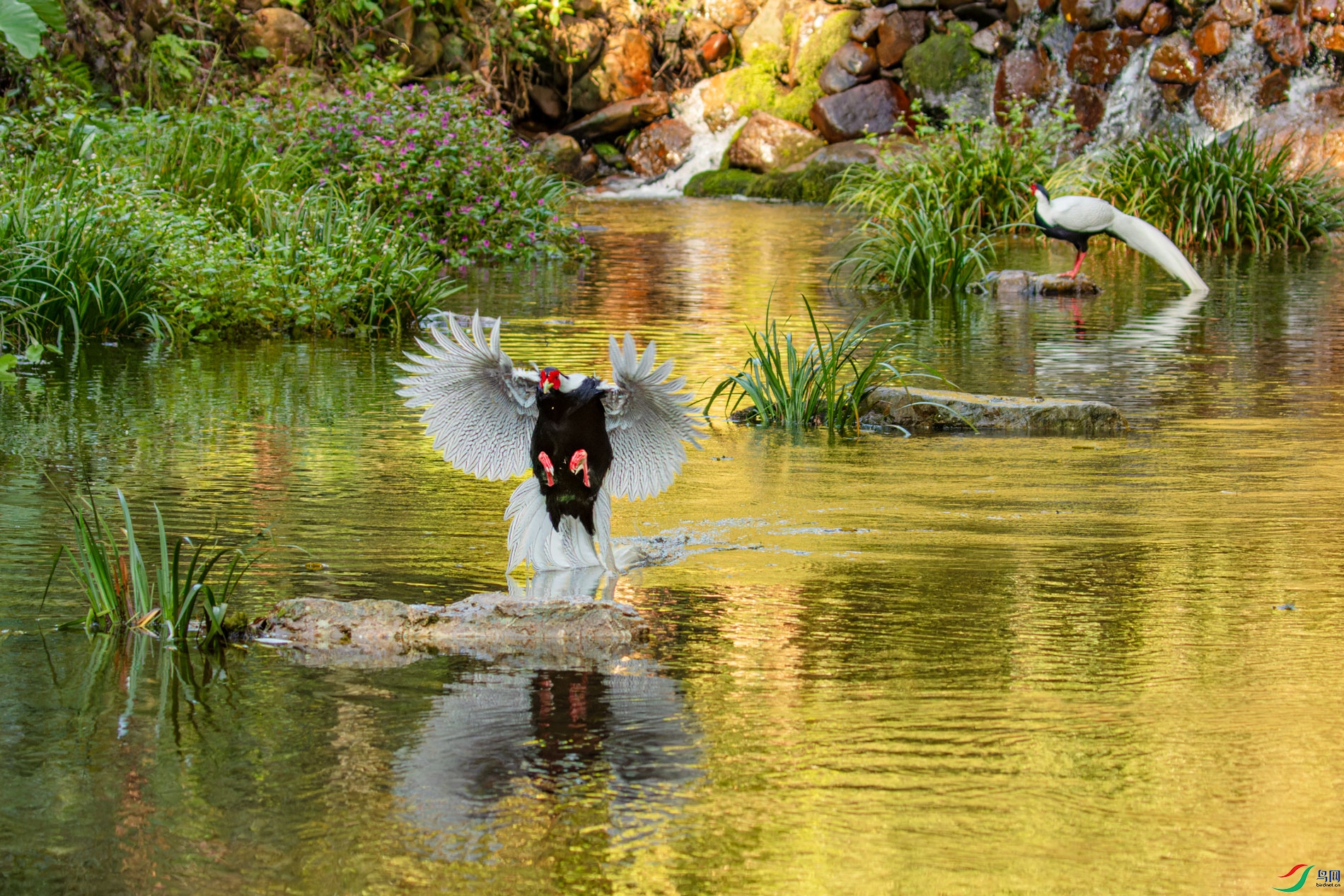 _00A2642-CR2_DxO_DeepPRIMEXD-1.jpg
