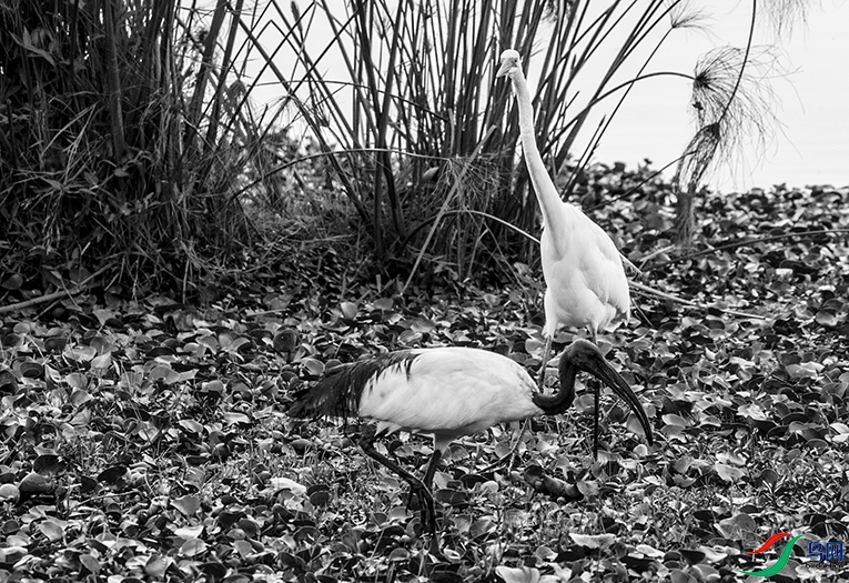 DSC_8692.jpg