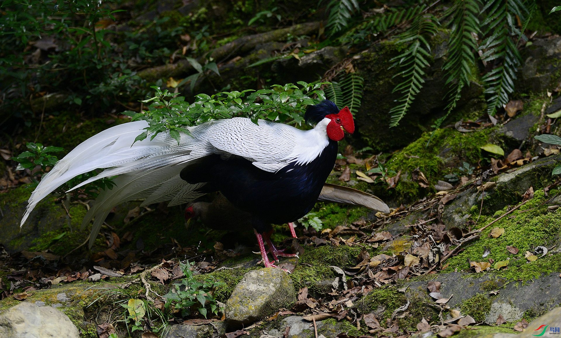 _D801428.jpg