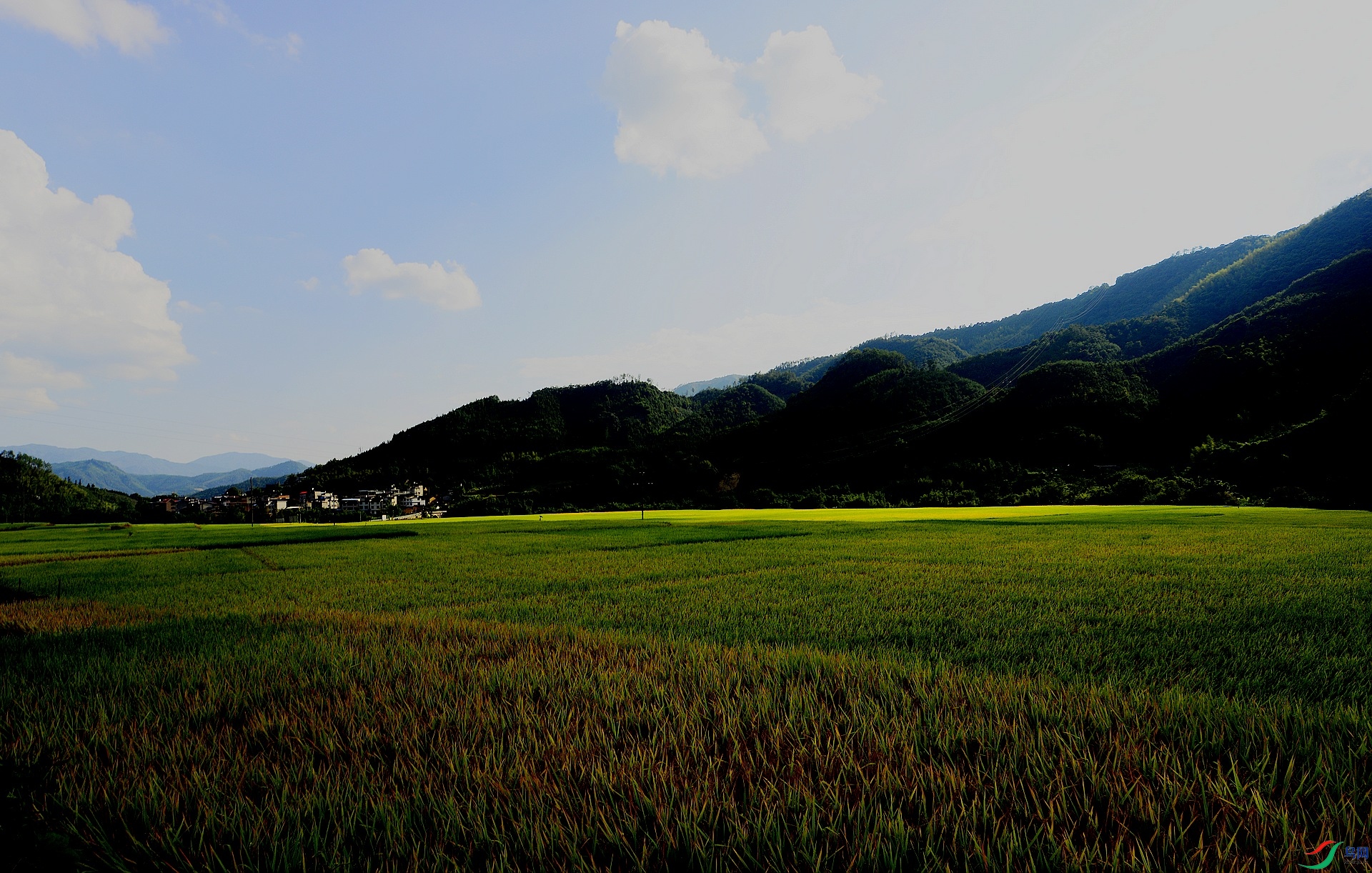 _D801164.jpg