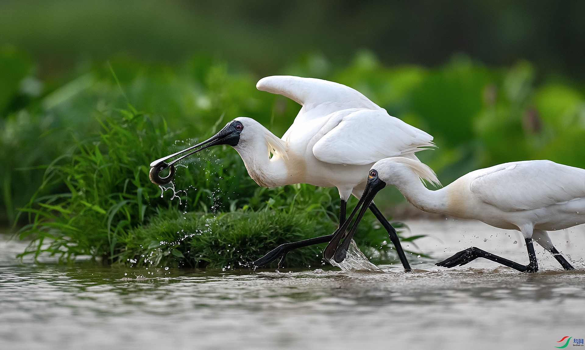 DSC_4378 ����5.jpg