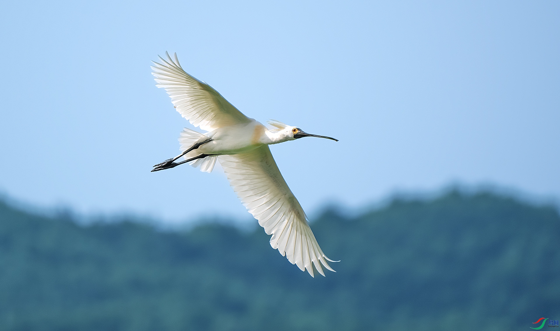 DSC_2781 ����9.jpg