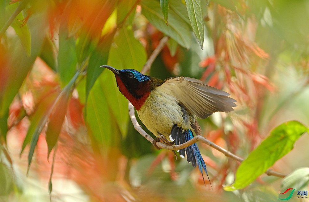 DSCF2568.1.jpg