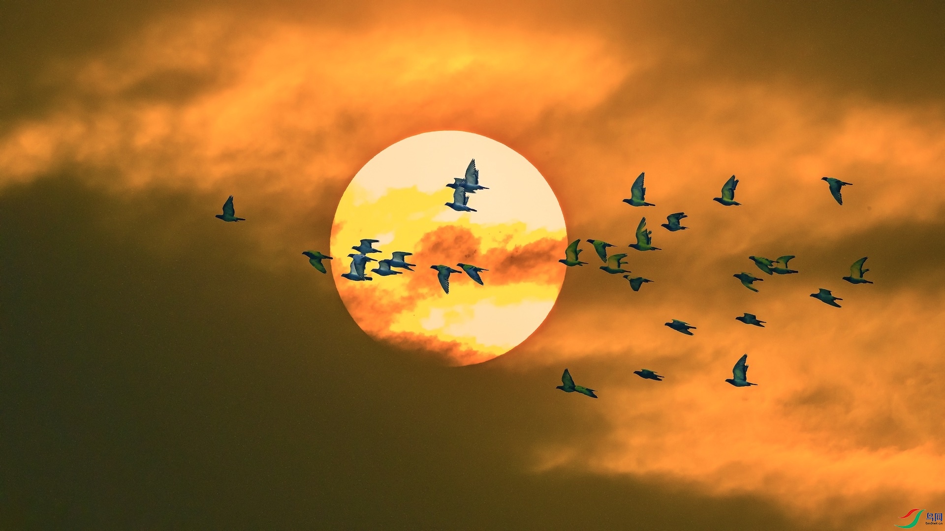 1_DSC0875 ����.jpg