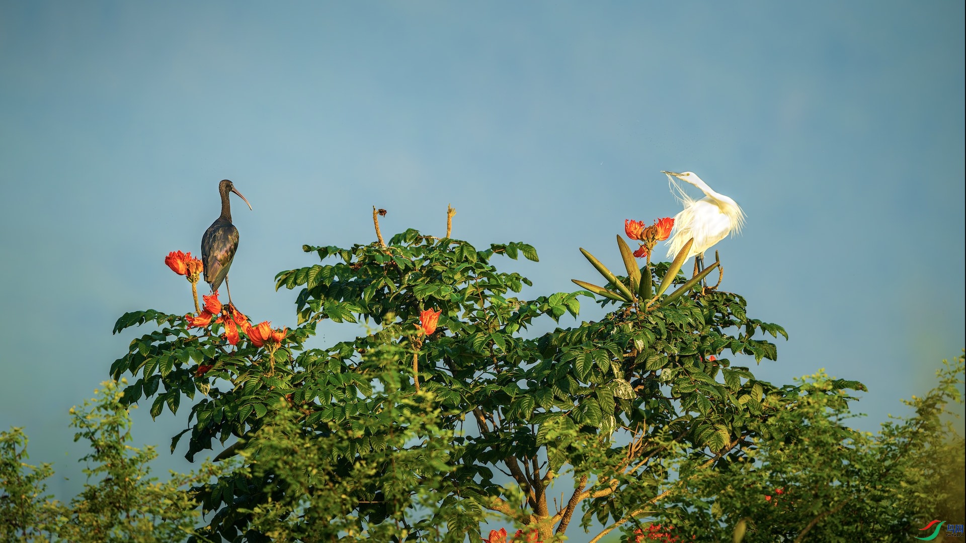 1_XXL7475-����ǿ-NR-1 ����.jpg333 2.jpg