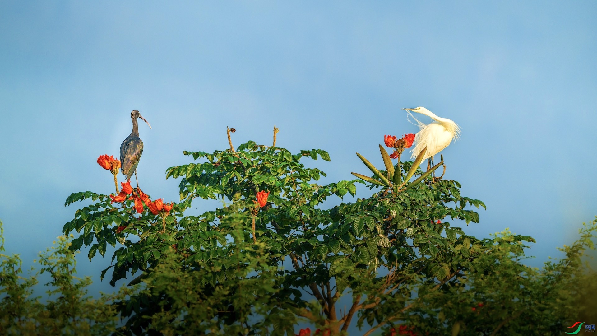 1_XXL7477 ���� 2.jpeg