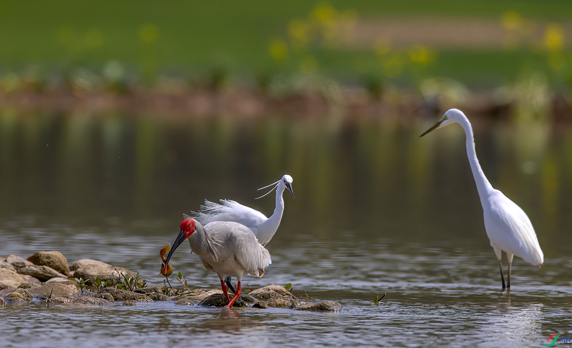 407A0120-SharpenAI-motion ����1--  .jpg