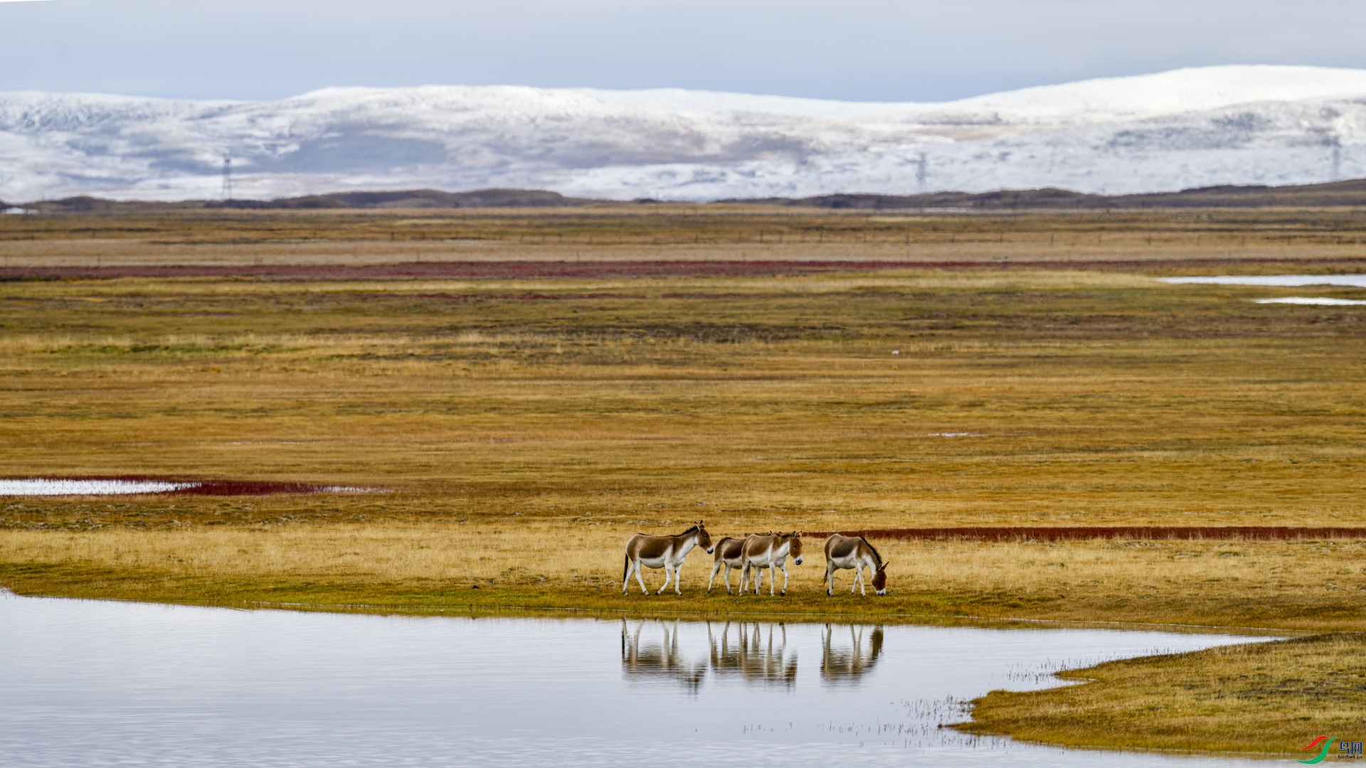 _DSC7150_����.jpg