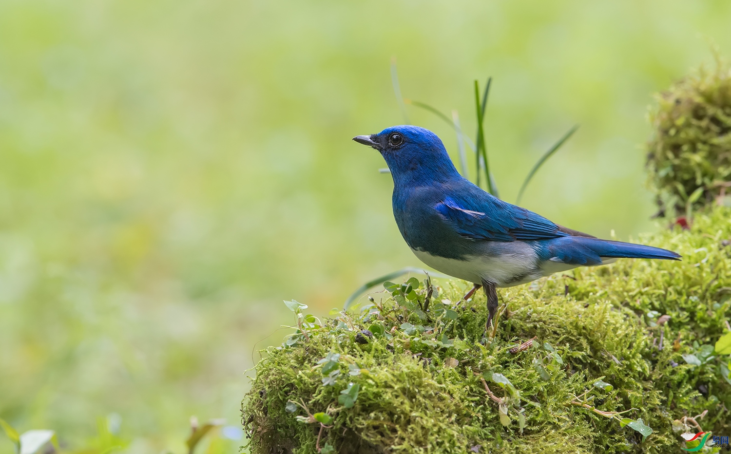 DSC_76251.jpg