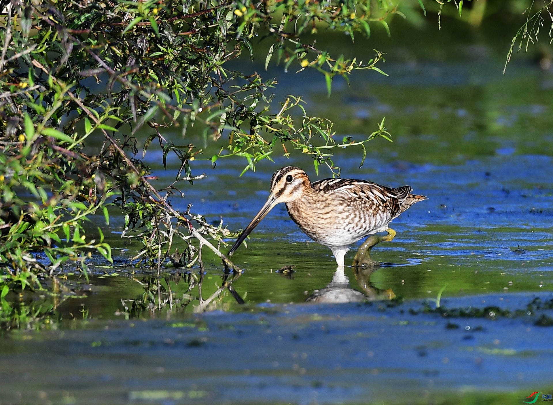 _D5D8600.jpg
