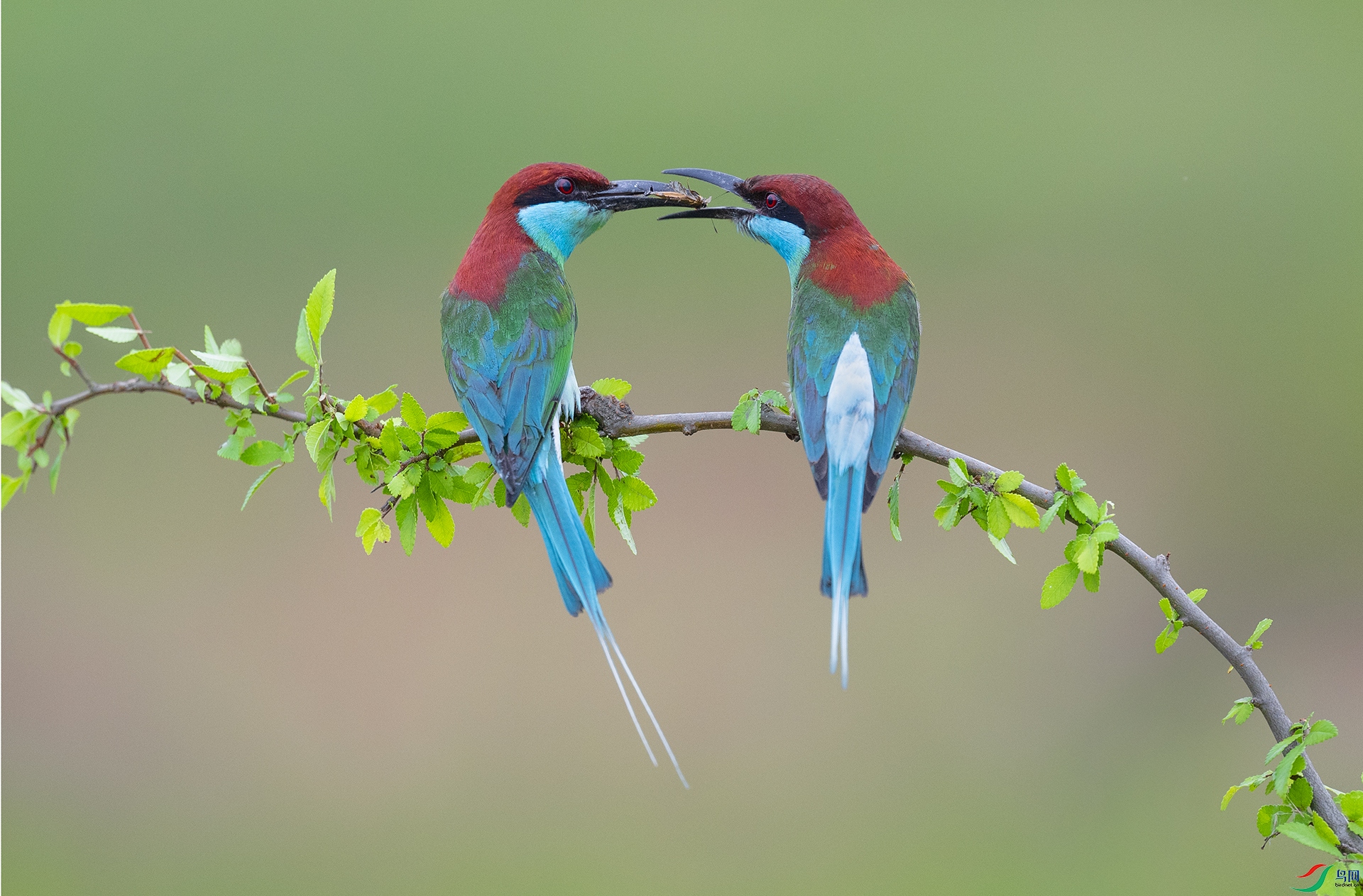 ����DSC_3717.jpg