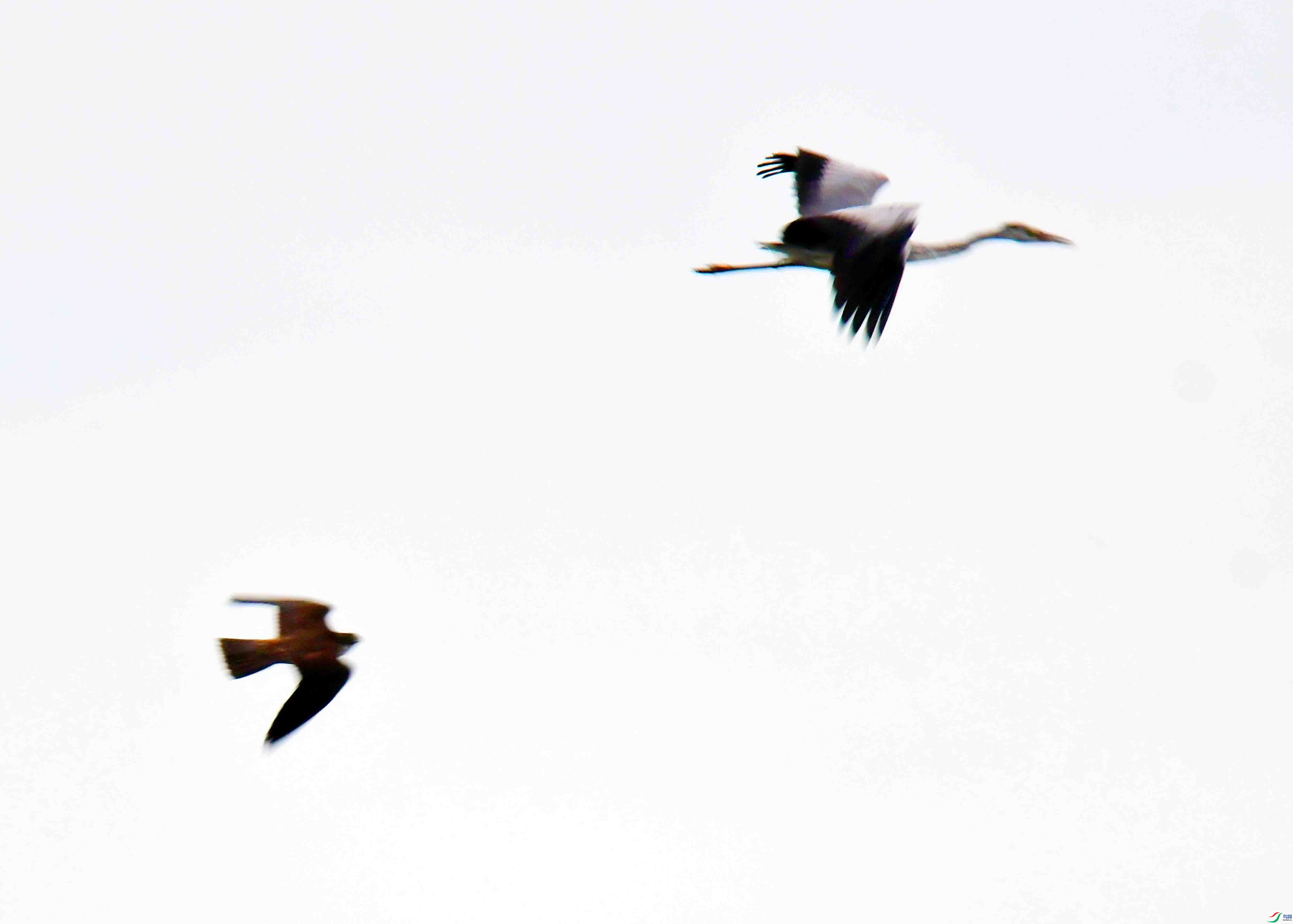 DSC_7367.JPG