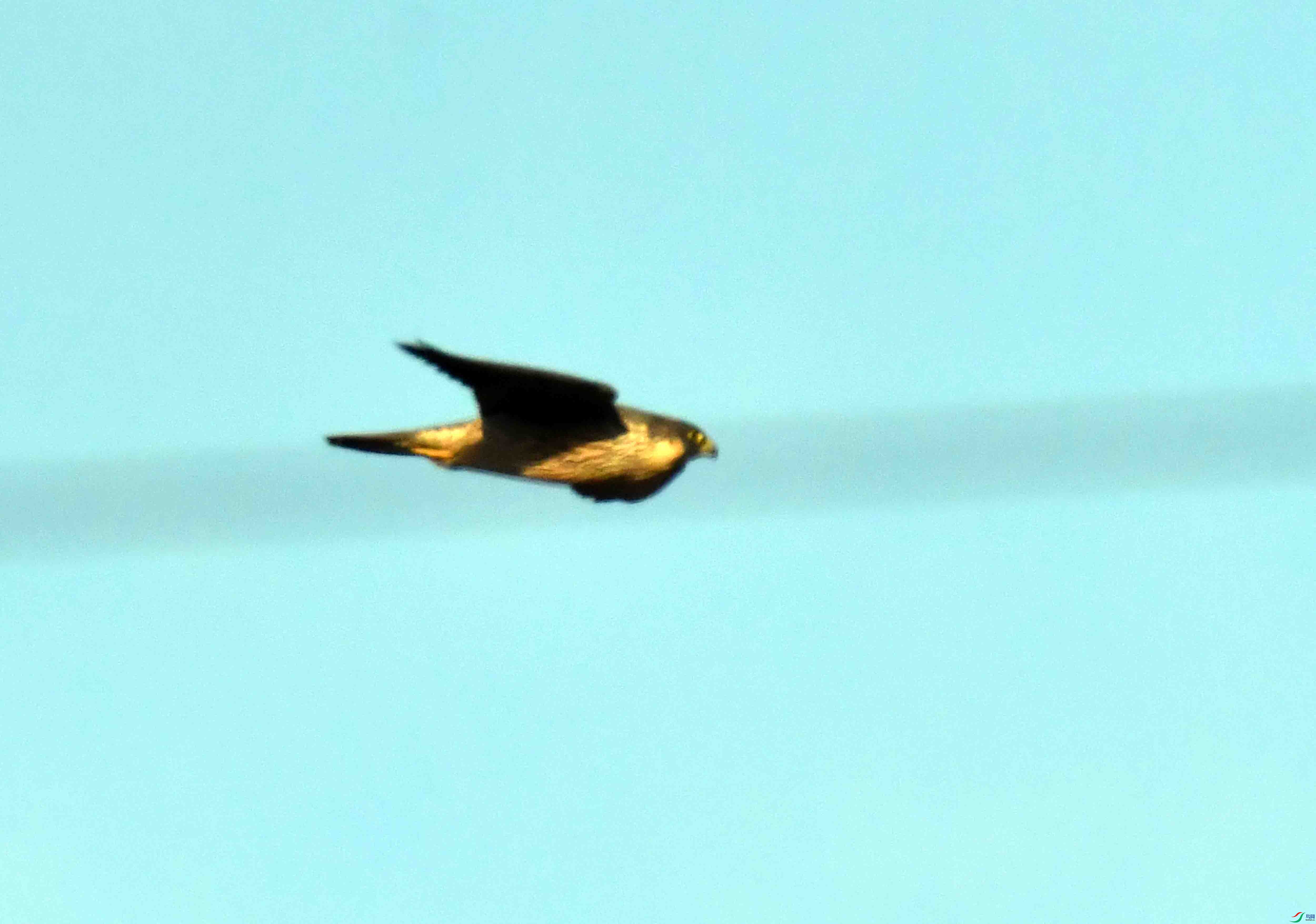 DSC_9019.JPG