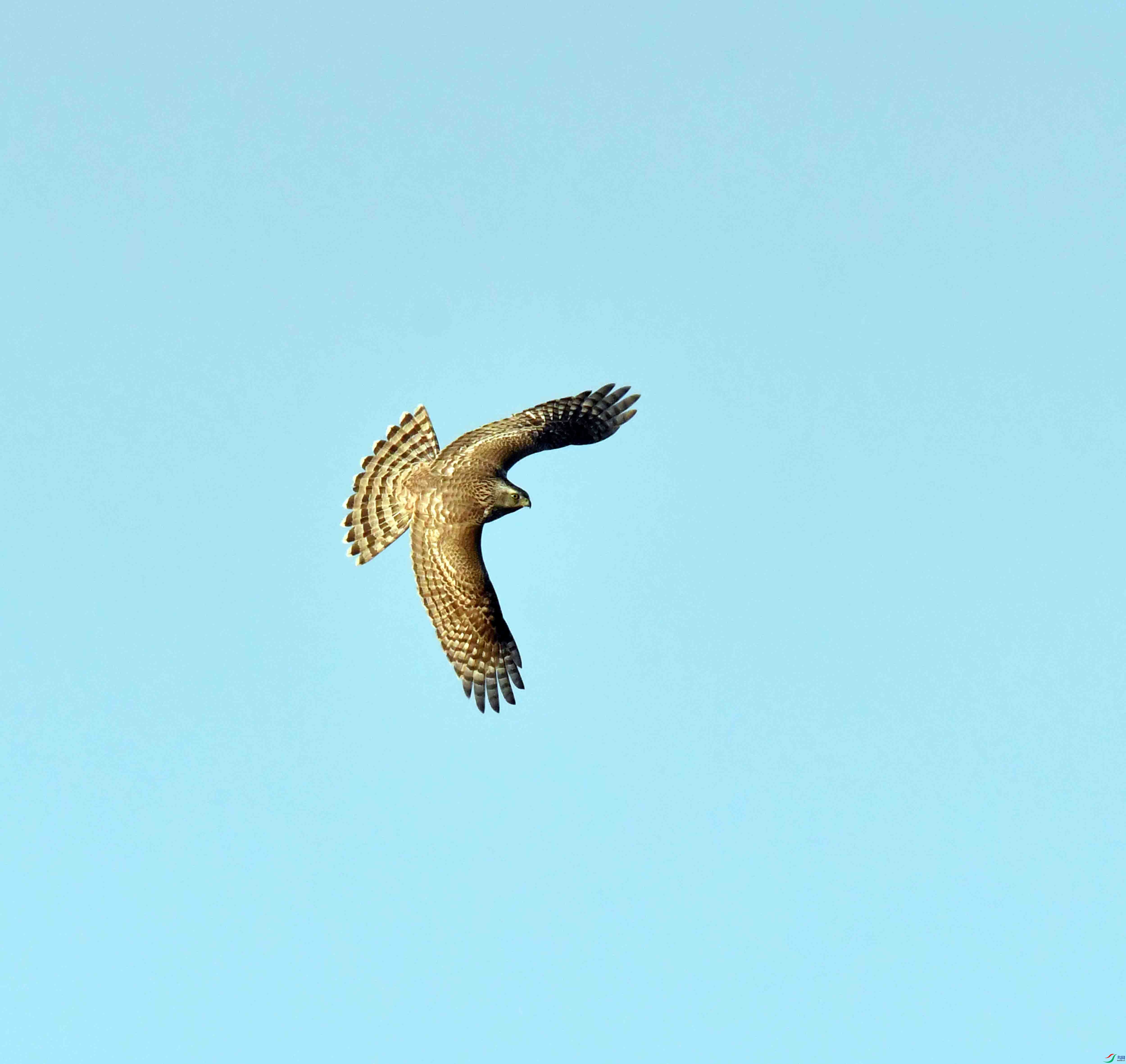 DSC_9054.JPG