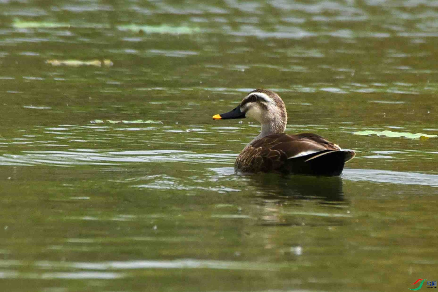 DSC_6645.JPG