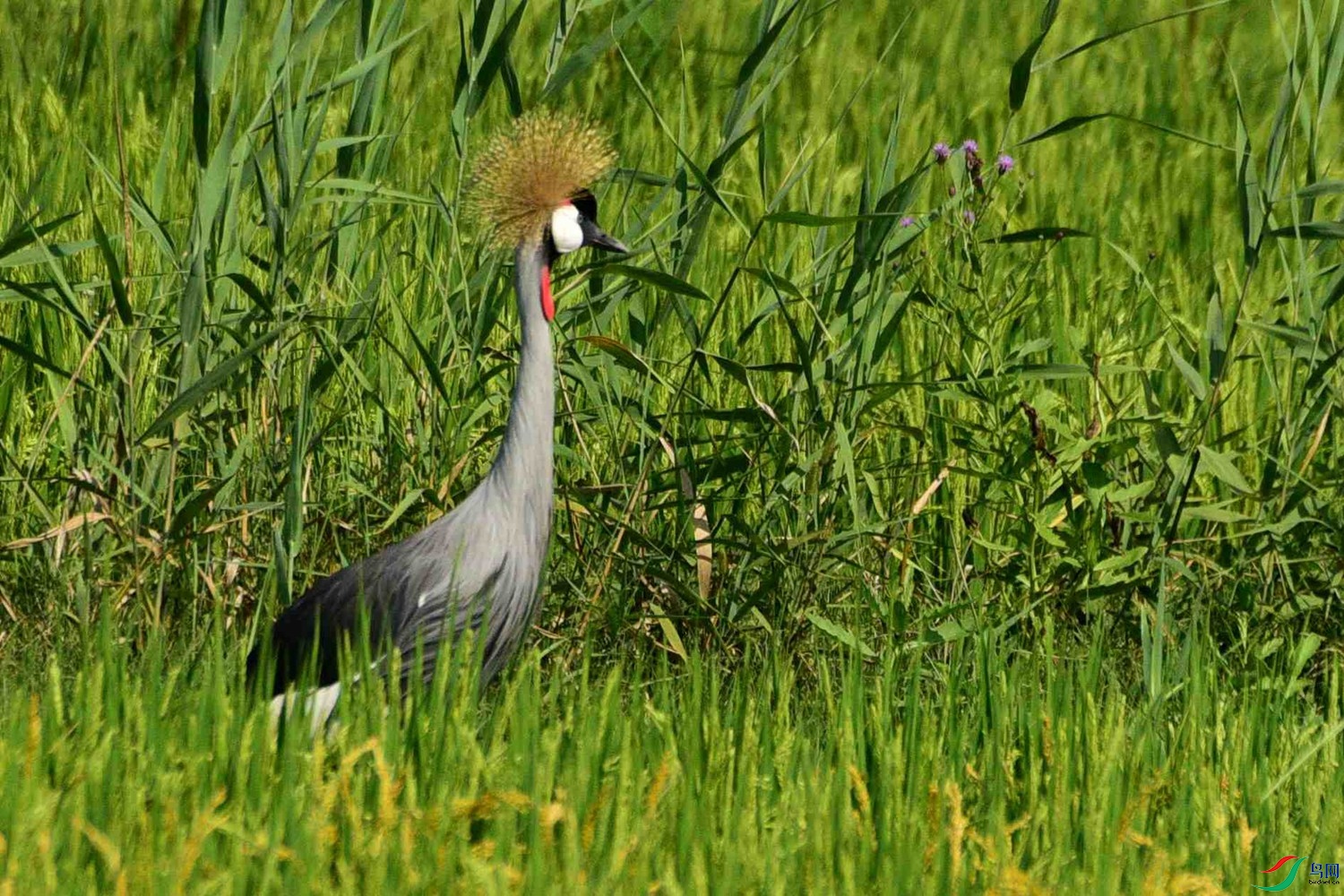 DSC_5354.JPG