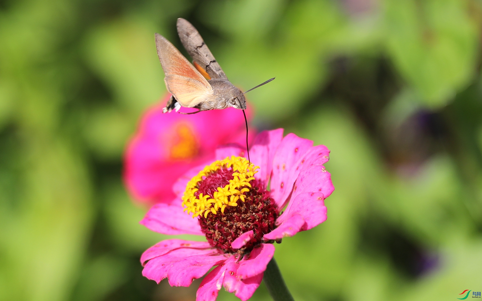 9G8A7522.JPG