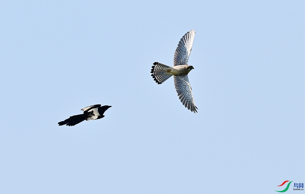 DSC_5619.JPG