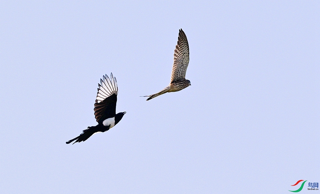 DSC_5635.JPG