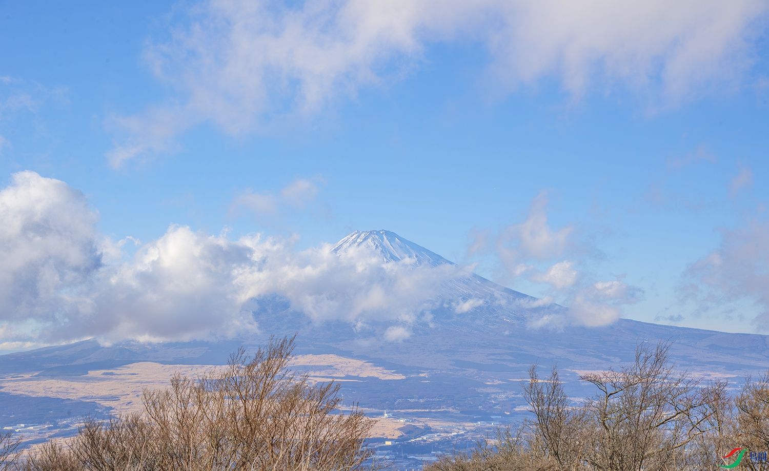 DSC_2567-����ǿ-NR ���� 2.jpg