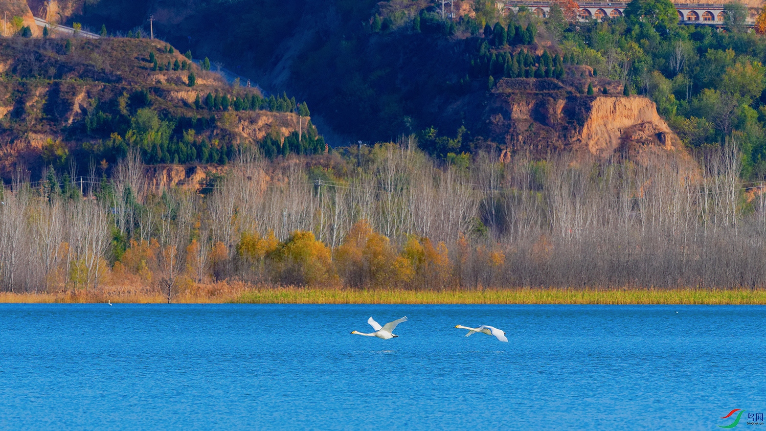 DSC_2375_DxOa.jpg