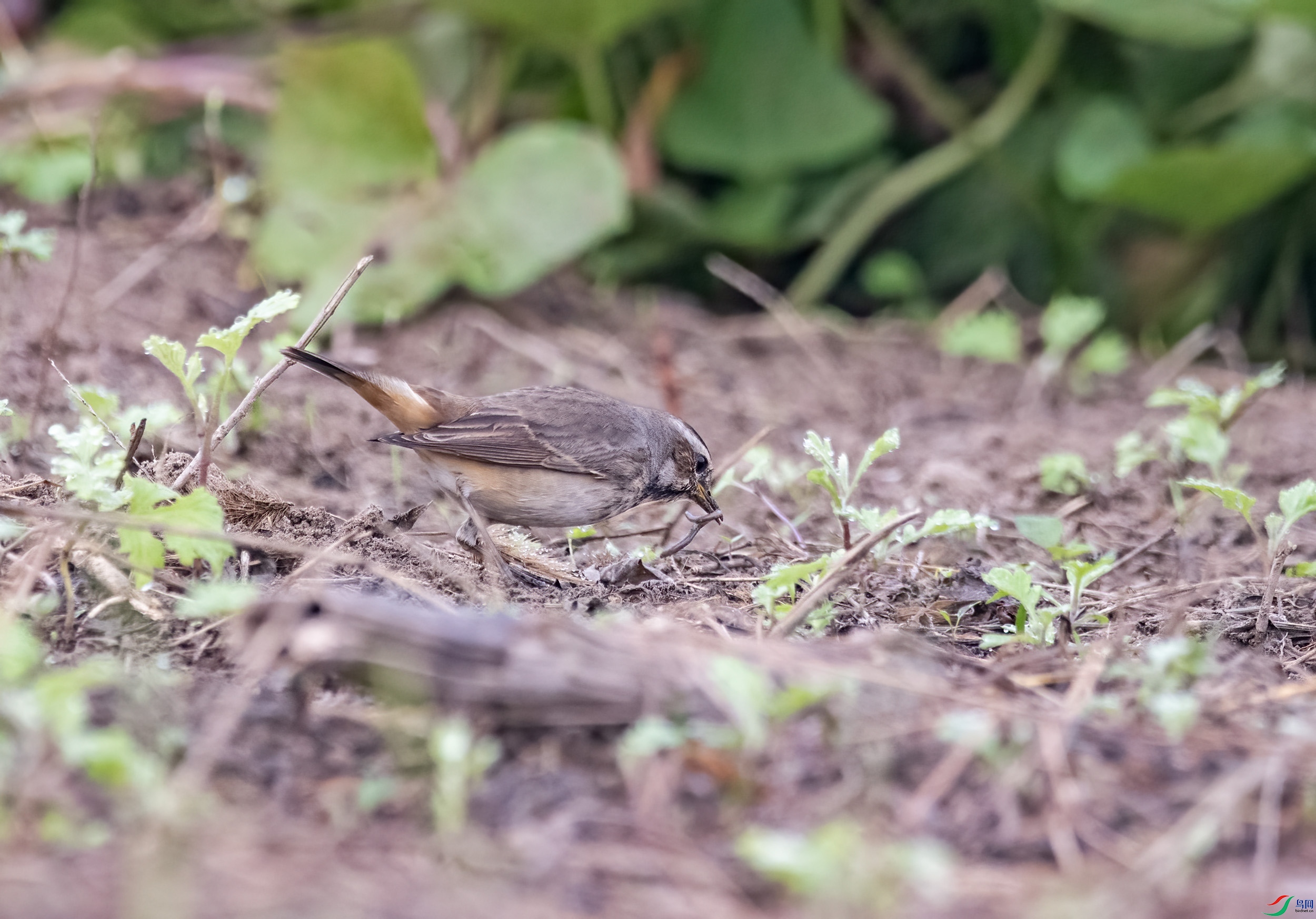 DSC_6980.jpg