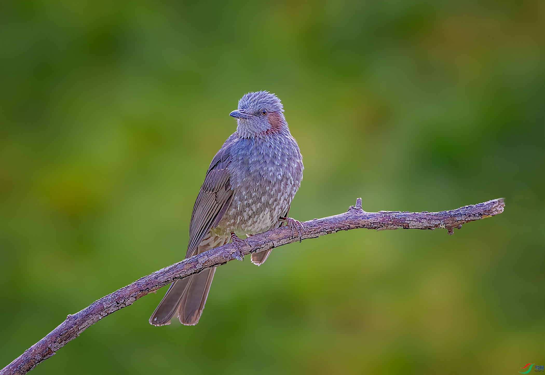 �����̽���