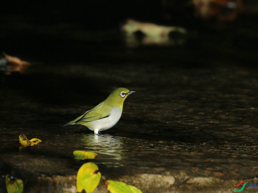 DSC20241023249.jpg