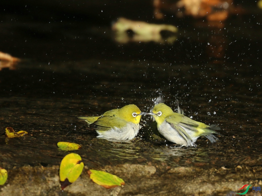 DSC20241023165.jpg