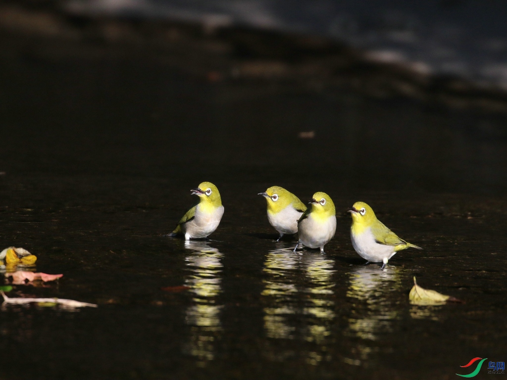 DSC20241023221.jpg