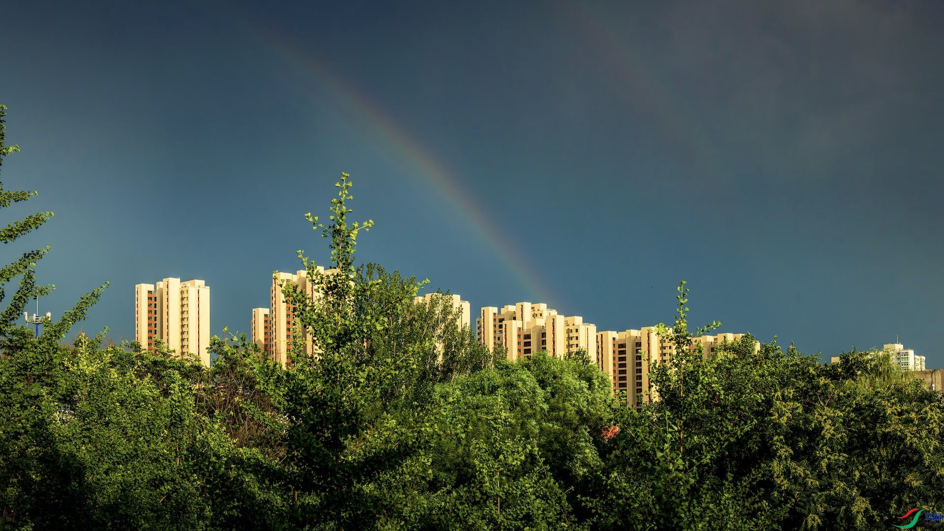 1_XXL1461-����ǿ-NR ����.jpeg