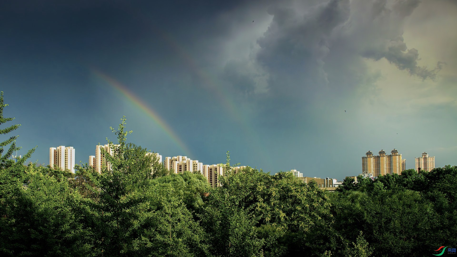 1_XXL1467-����ǿ-NR ����.jpeg