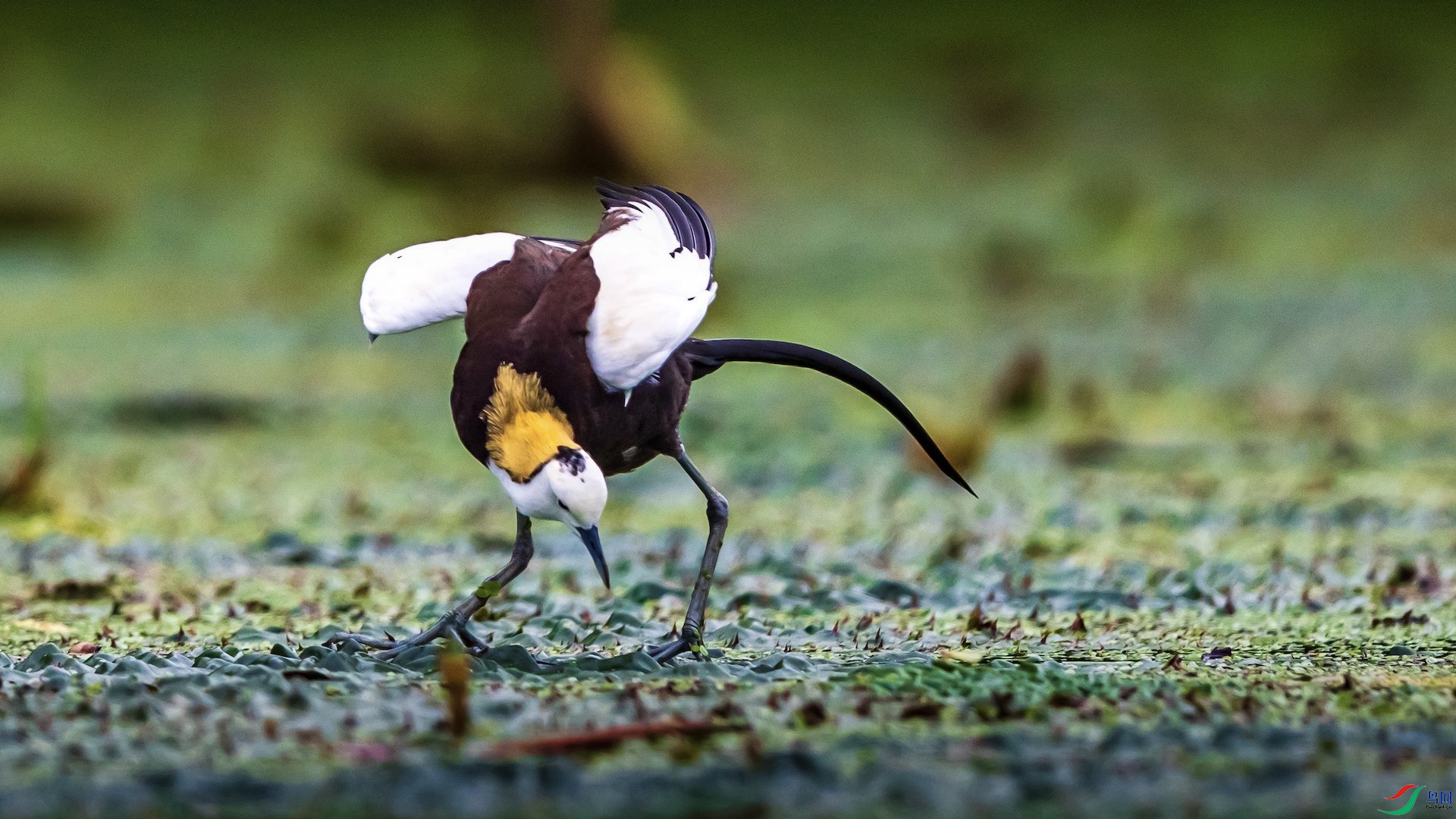 1�ĸ���2 �����ĸ���.jpeg