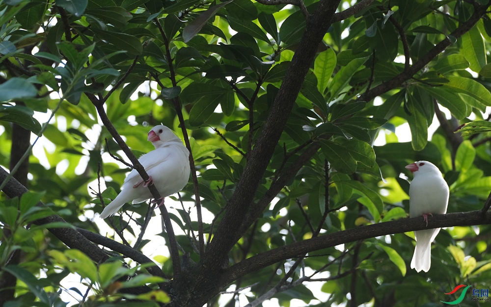 DSCF8237.1.jpg
