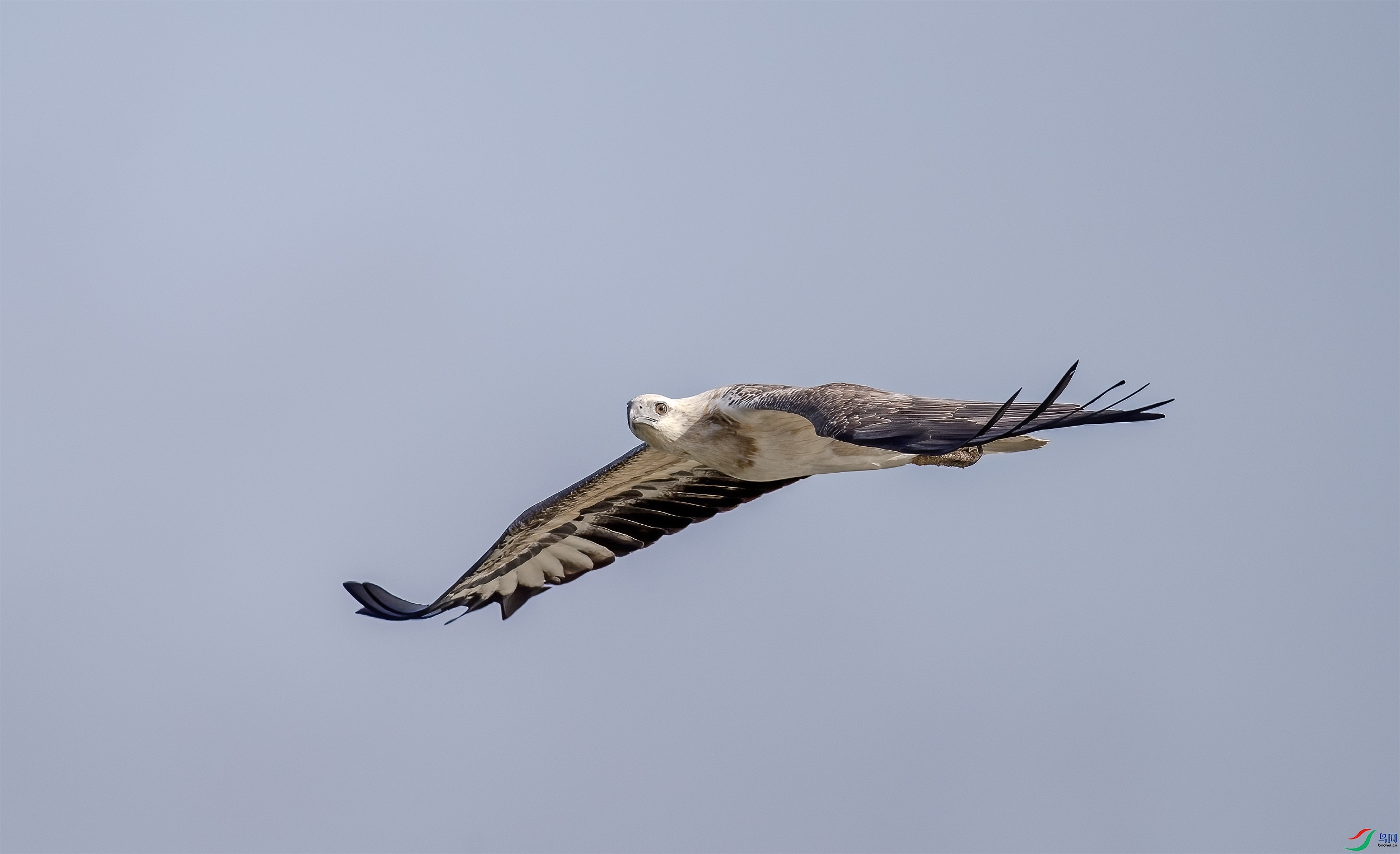 AC3I0955 ����.jpg