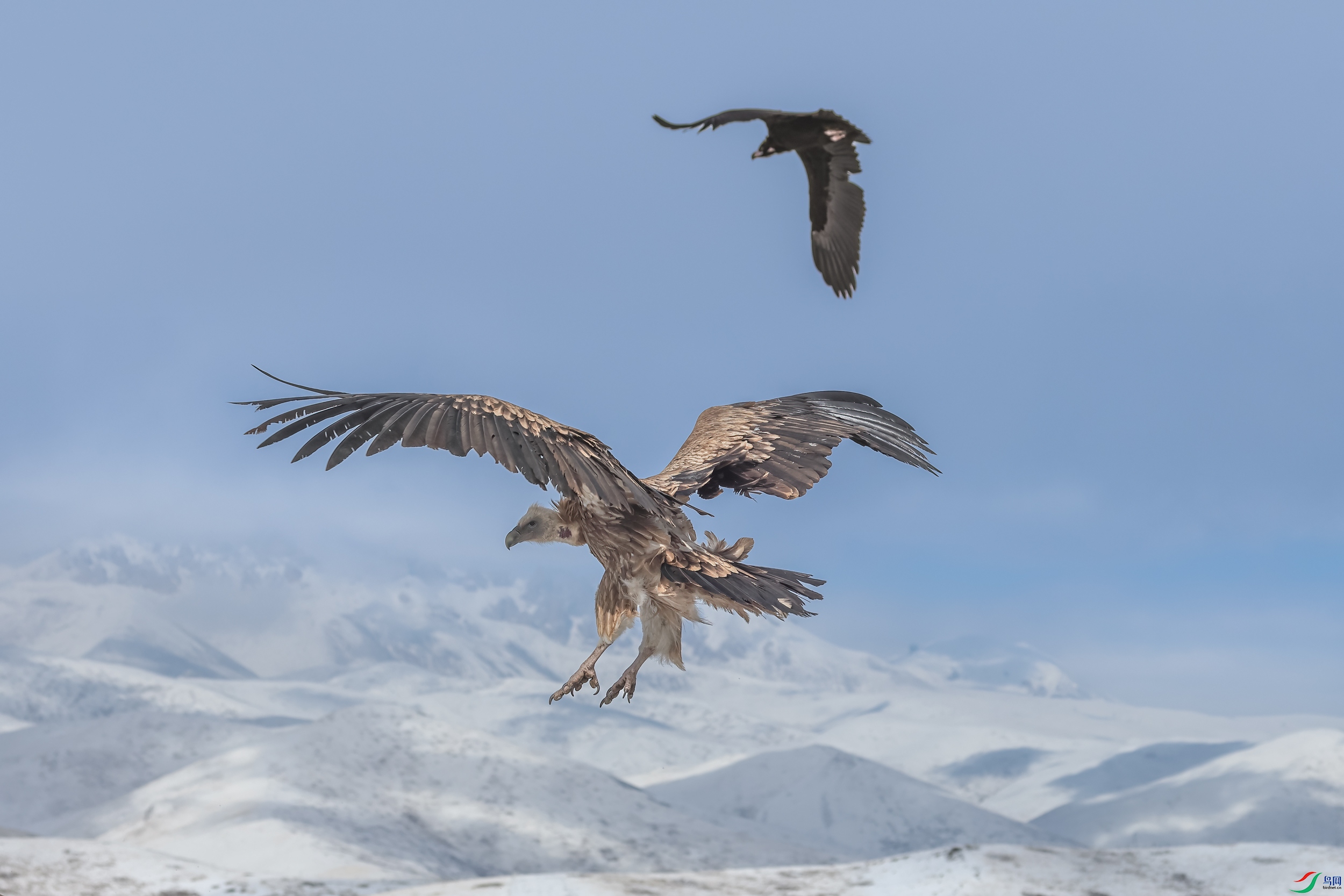 ��ɽأ��1M5A0538.jpg