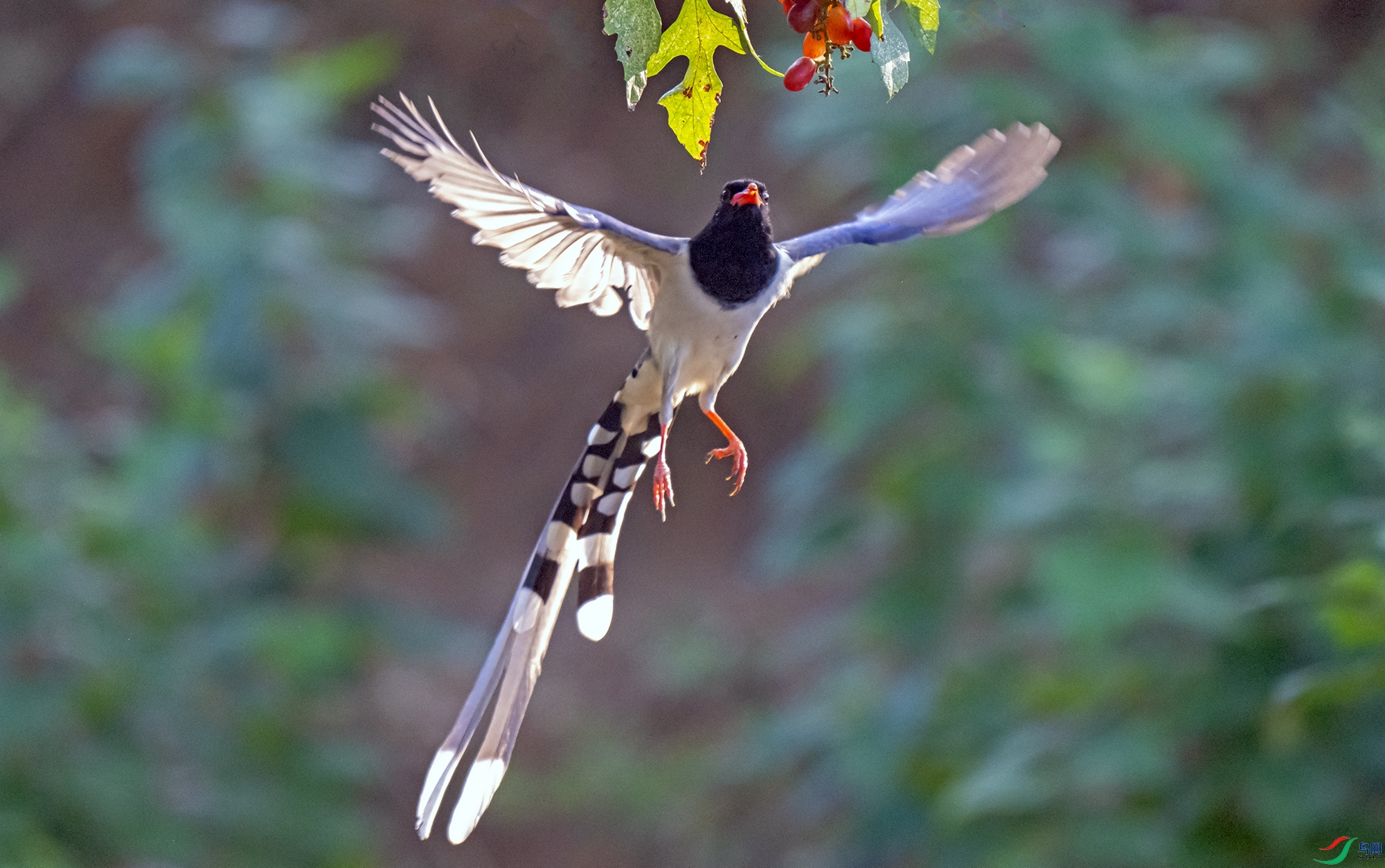 LJH_2774.jpg