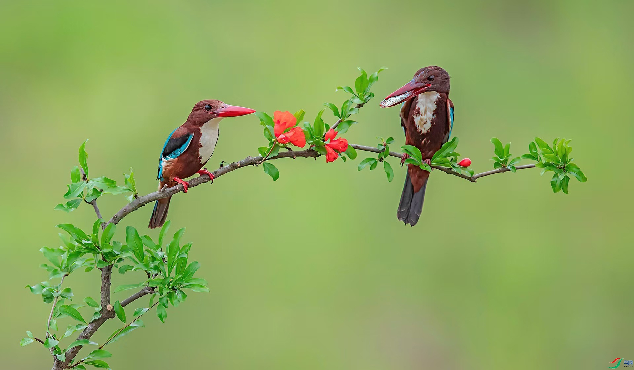 10.20 ��������ʦ��Ʒ  һ�Զ�  �ٻ�2024��10��20��������ҳ����.jpg