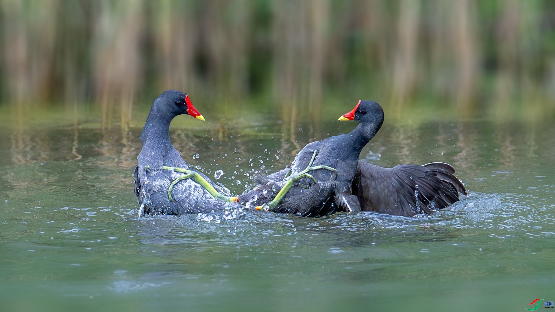 10.20 ����ī��ʦ��Ʒ  ��ˮ����� �ٻ�2024��10��20��������ҳ���� .jpg