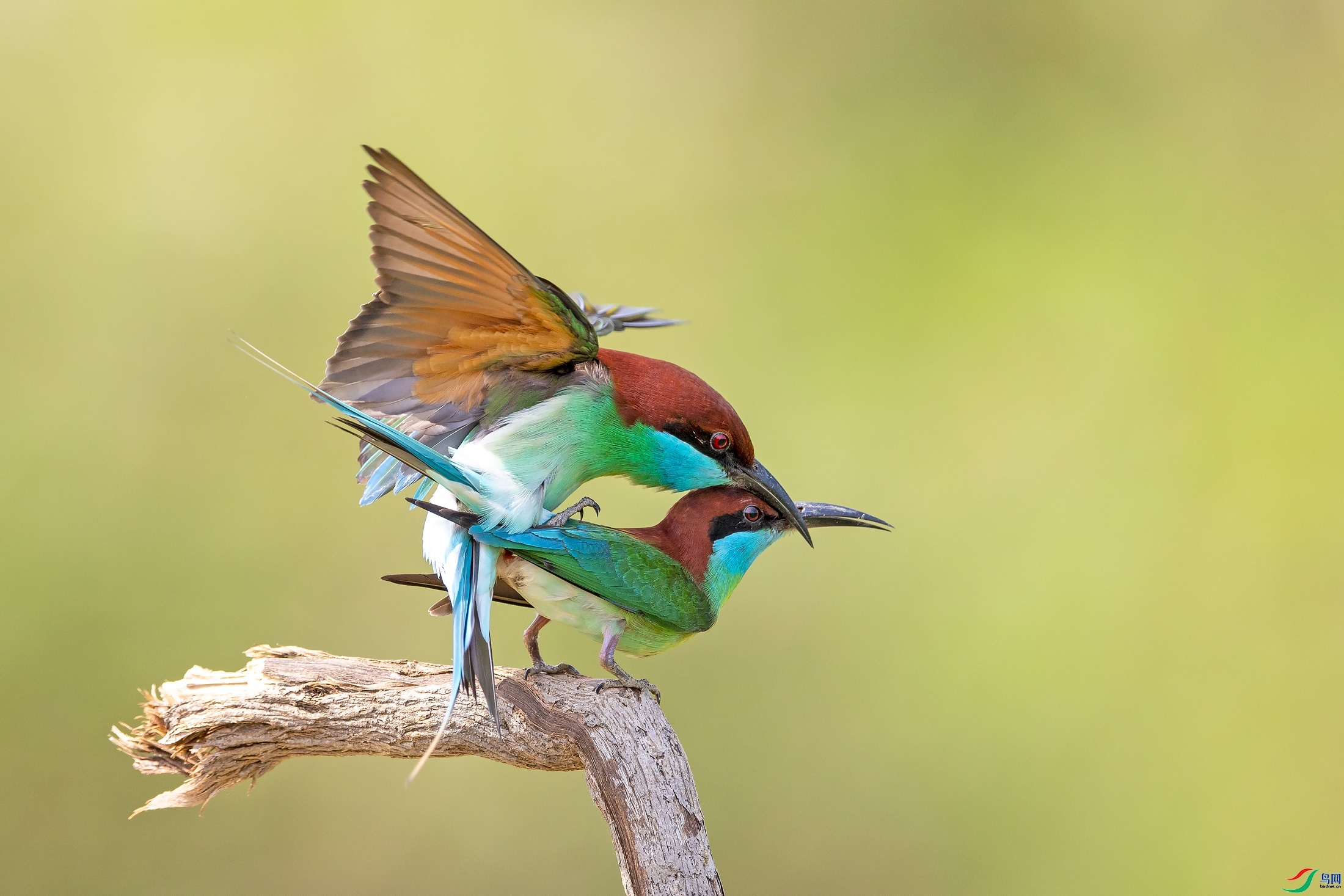 10.20 ��Ӱ������ʦ��Ʒ  �仢�Ĵ���  �ٻ�2024��10��20��������ҳ����.jpg