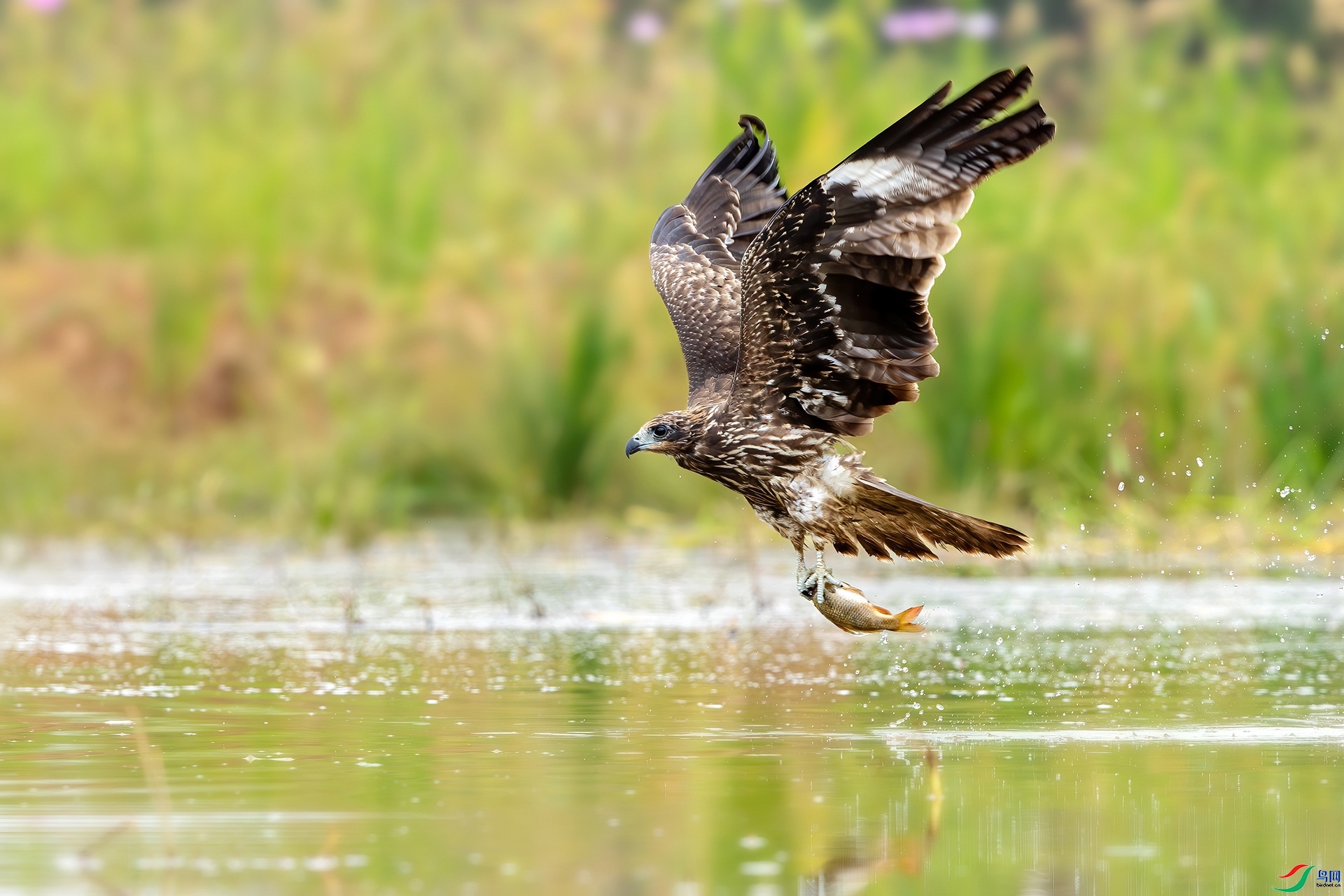 10.21 �ɵ���ʦ��Ʒ  �ڶ��  �ٻ�2024��10��21����Ӱʦ��ҳ����.jpg