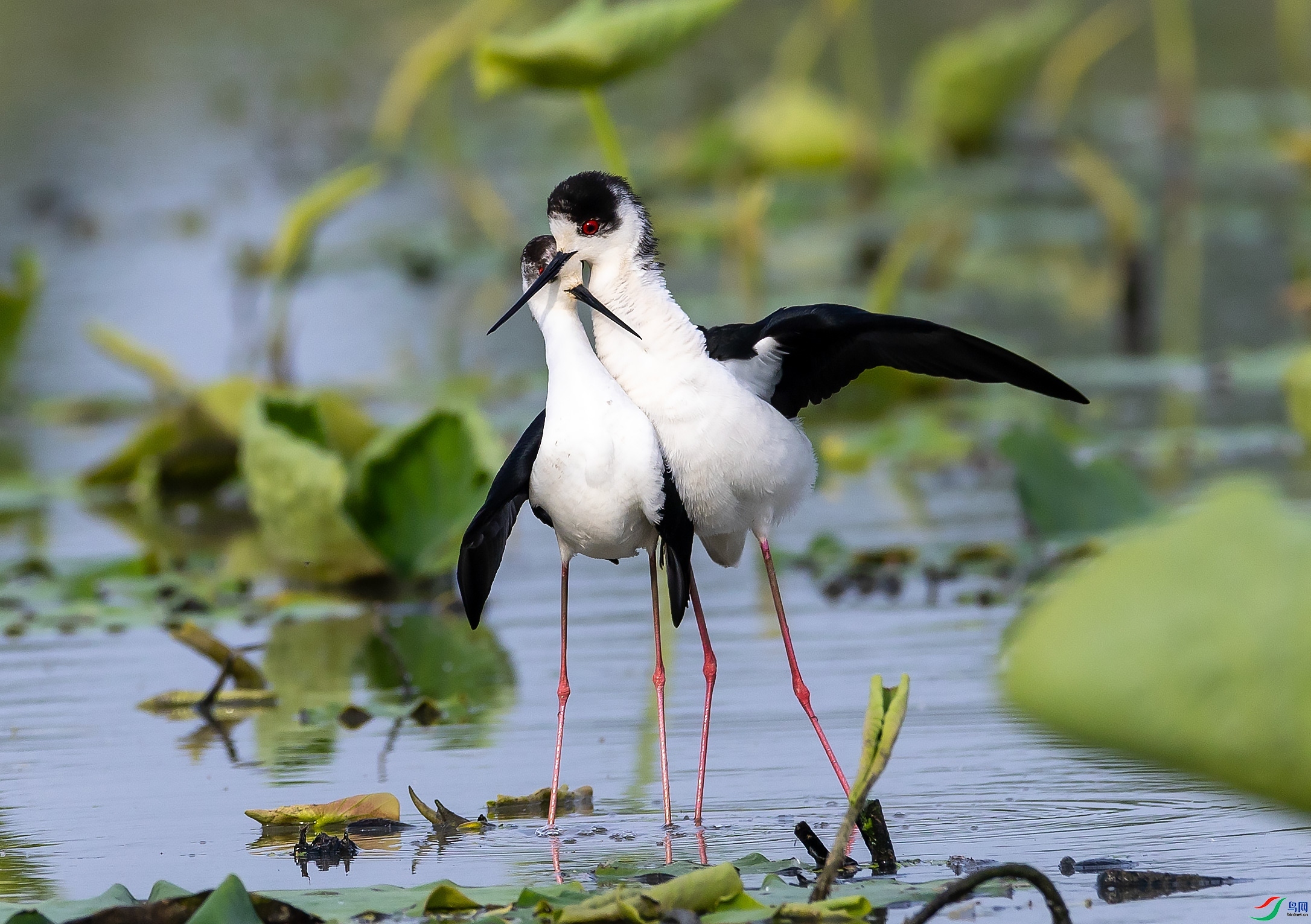 10.20 л������ʦ��Ʒ  ����  �ٻ�2024��10��20�հ�����ҳ����.jpg