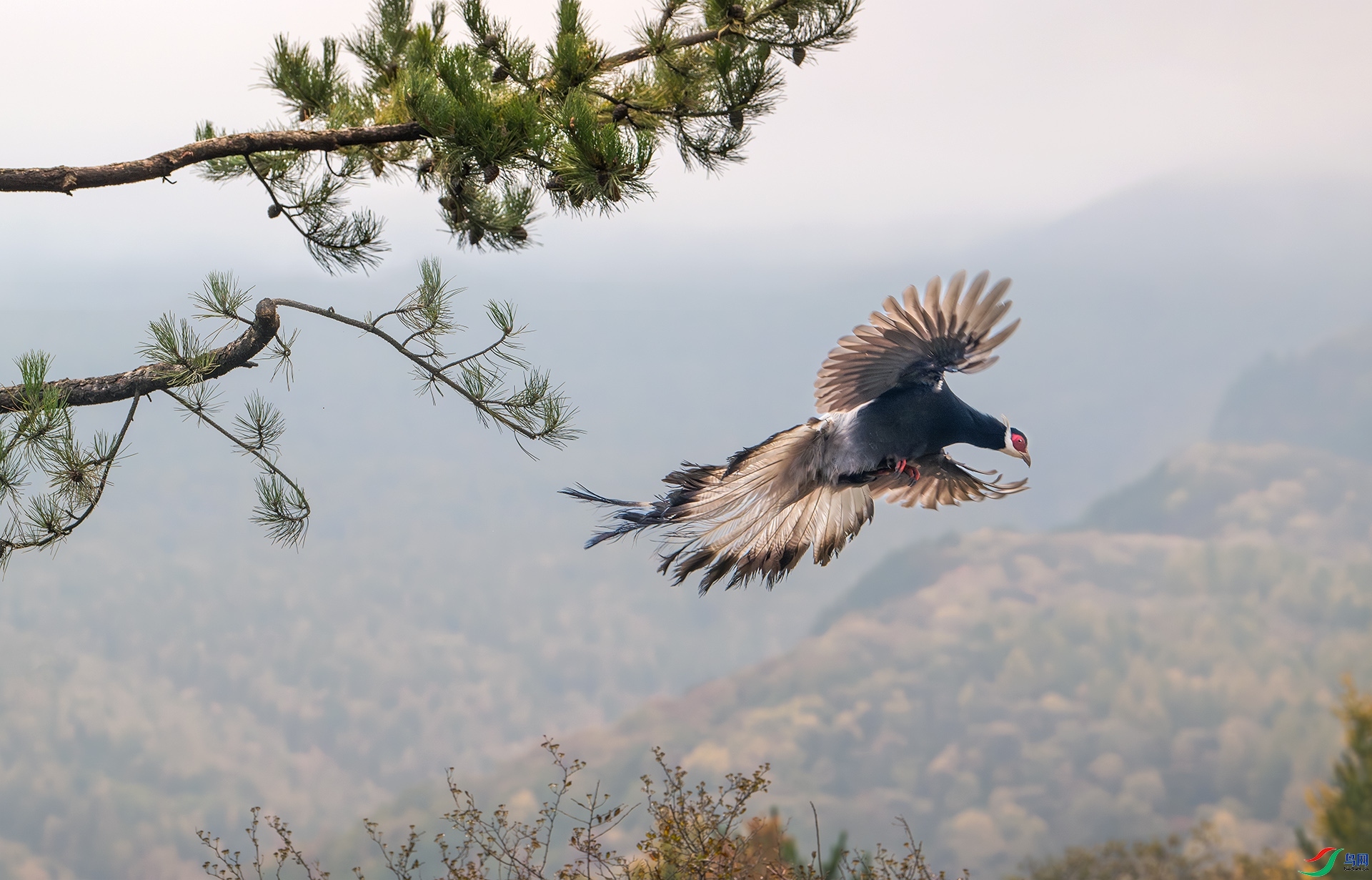 10.20 ��������ʦ��Ʒ  ���з���  �ٻ�2024��10��20����Ӱʦ��ҳ����.jpg