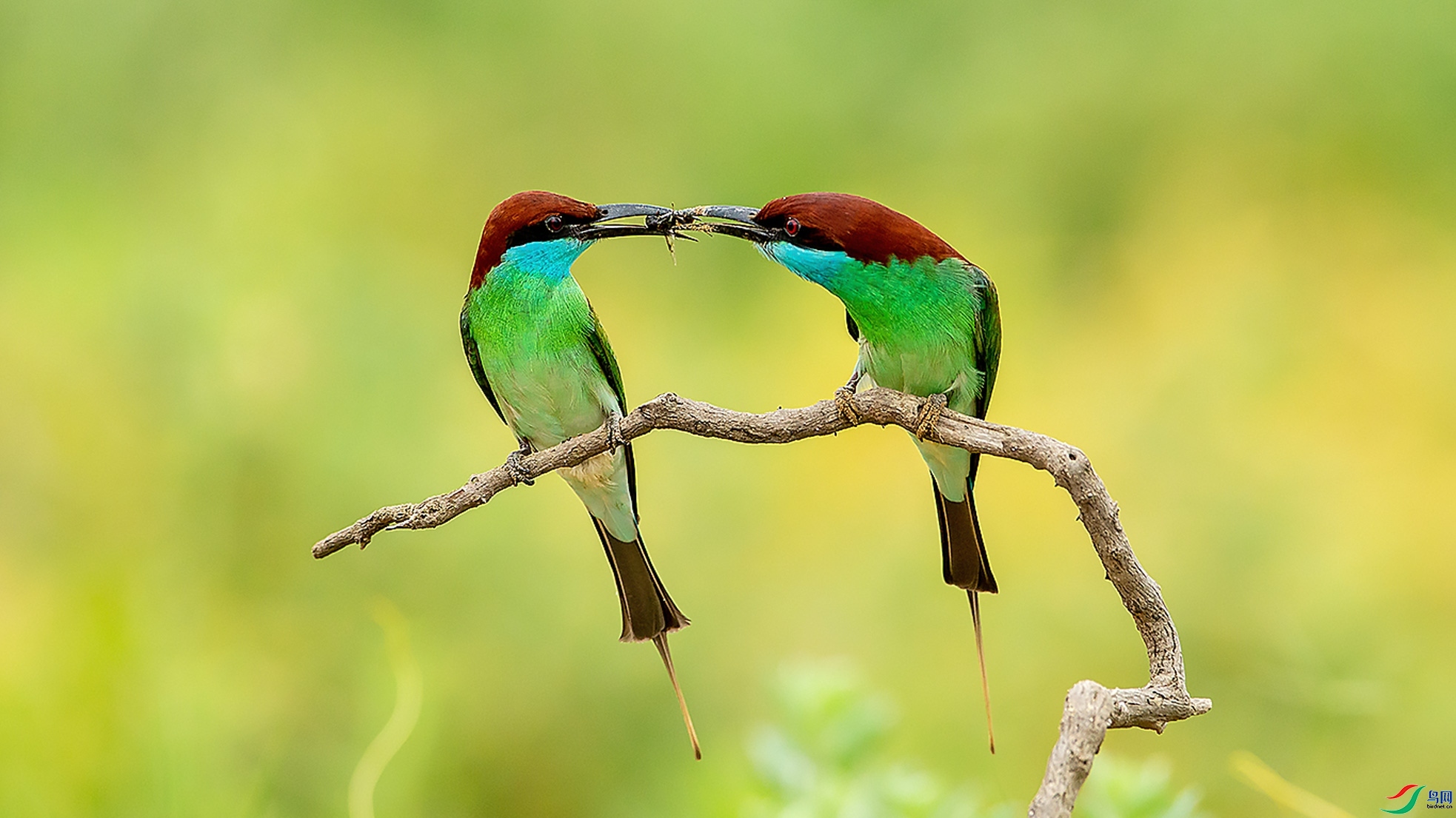 10.21 ��Ӱ������ʦ��Ʒ  ������  �ٻ�2024��10��21��������ҳ����.jpg