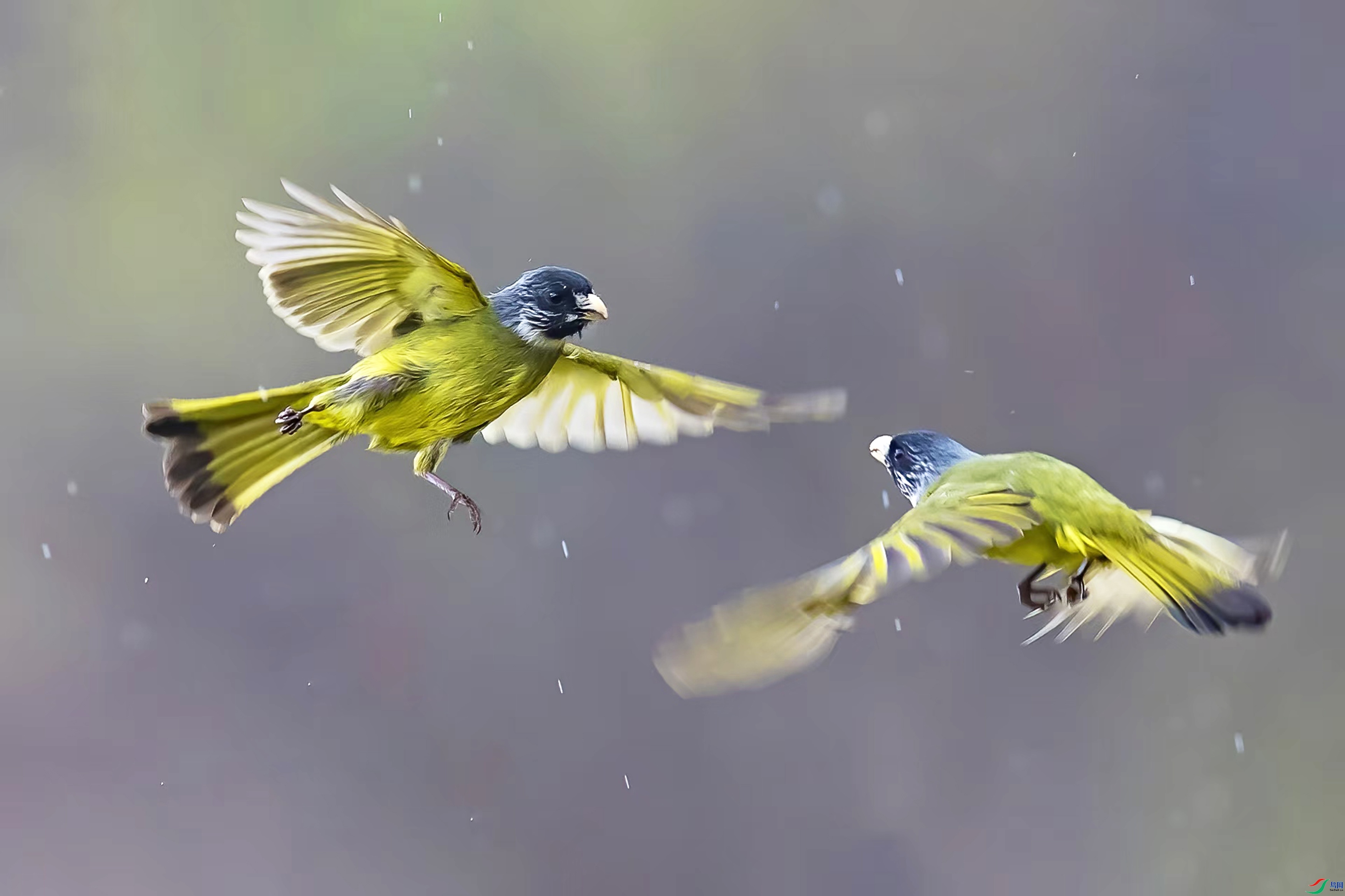 10.21 ��������ʦ��Ʒ  ���о�ս  �ٻ�2024��10��21��������ҳ����.jpg