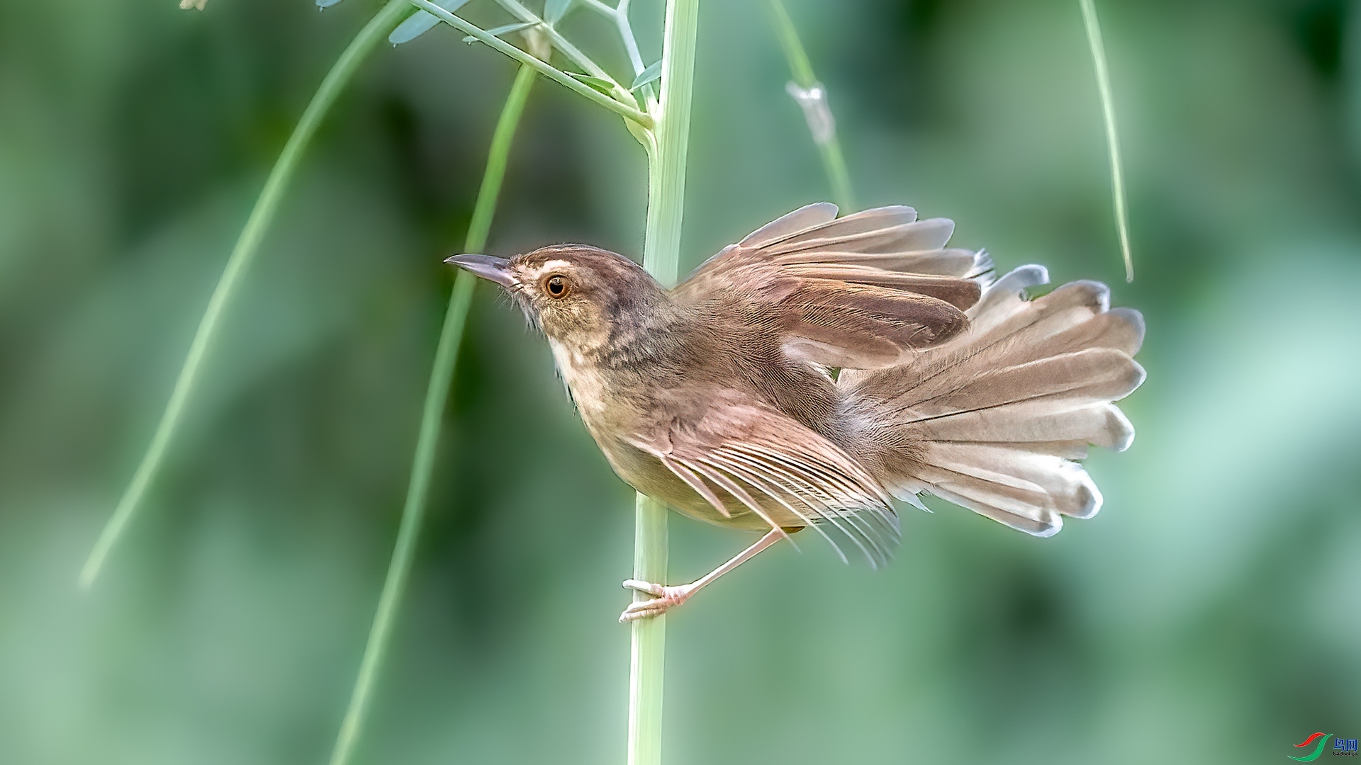 10.21 ����ī��ʦ��Ʒ  ��ݺչ��  �ٻ�2024��10��21��������ҳ����.jpg